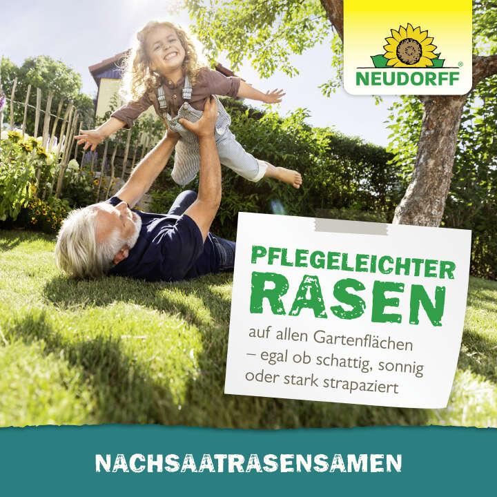 NEUDORFF Nachsaat RasenSamen